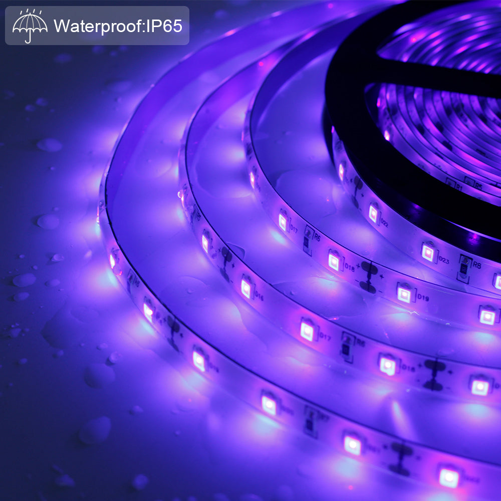 24W UV Black Light LED Strip, Ultraviolet Waterproof IP65 16.4FT/5M 3528 300LEDs 395nm-405nm Blacklight DJ Bar Club Party Decor Night Fishing with 12V 2A Power Supply