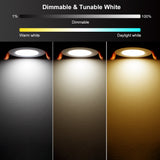 Smart 2 Inch LED Recessed Lighting RGB WiFi Downlight, 5W Compatible with Alexa and Google Home, Dimmable RGB & CCT 2700-6500K Color Changing, 120V LED Ceiling Light with LED Driver (4 Pack)