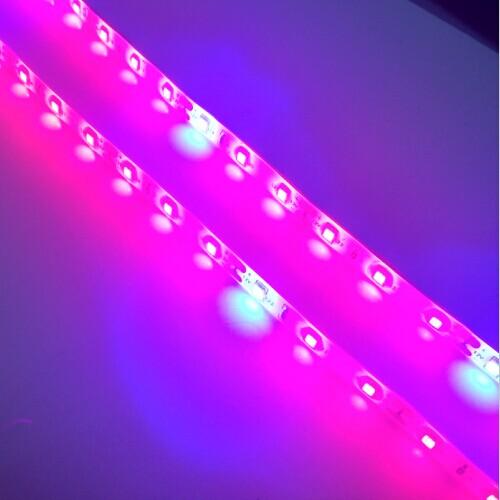 Plant Growth RED:BLUE /660nm:460nm  LED Grow Light  SMD2835 60LEDs  12W Per Meter Strip - LEDStrips8