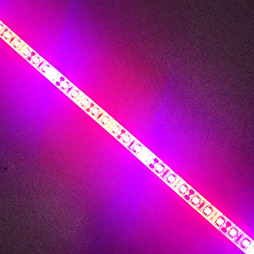 Plant Growth RED:BLUE /660nm:460nm  LED Grow Light  SMD2835 120LEDs  24W Per Meter Strip - LEDStrips8