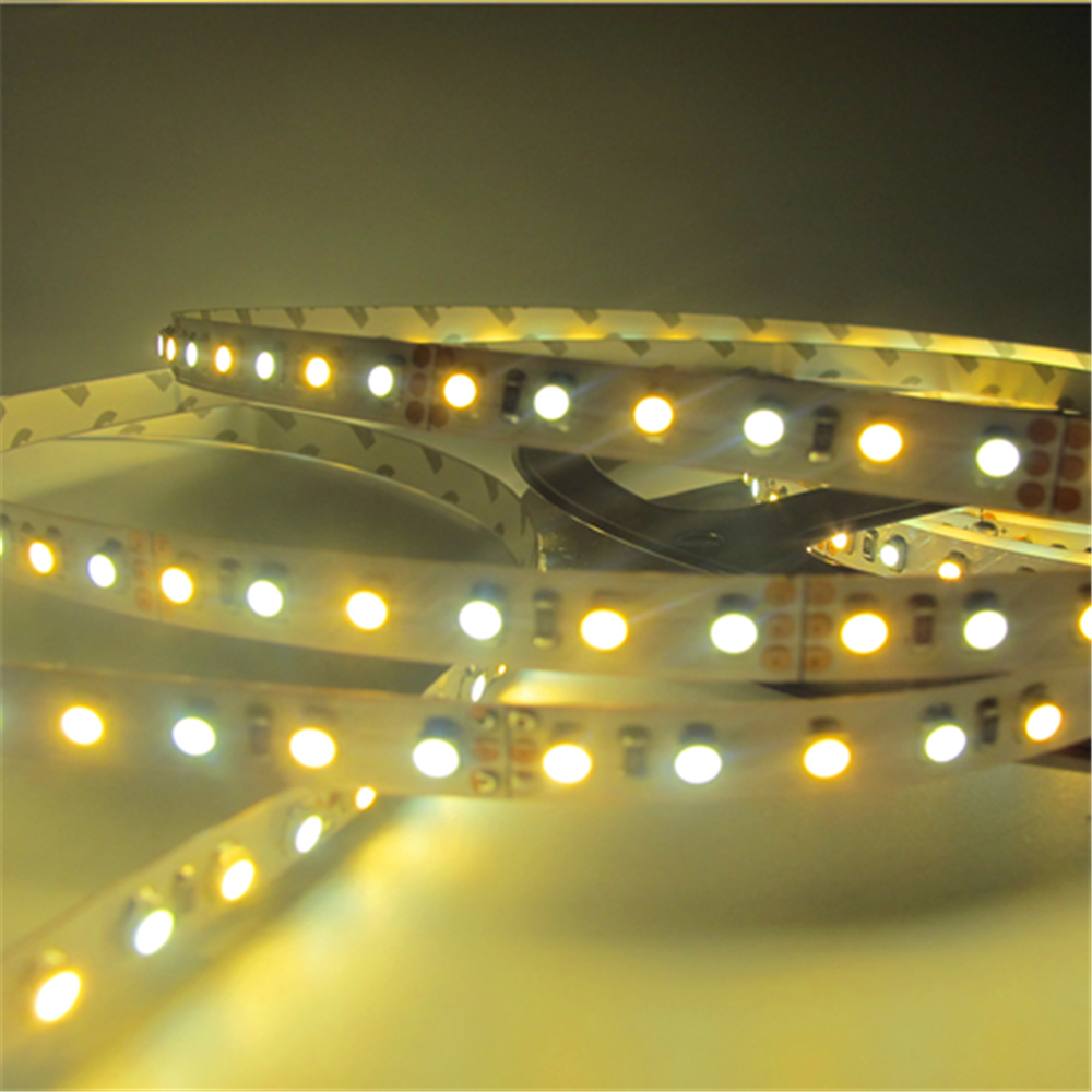 12VDC SMD3528-600-PWW Dual White Color Temp-Adjustable Flexible LED Strip Light 120 LEDs Per Meter - LEDStrips8