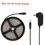 24 Watts UV Black Light LED Strip, 16.4FT/5M 3528 300LEDs 395nm-405nm Waterproof IP65 Blacklight Night Fishing Sterilization implicitly Party with 12V 2A Power Supply