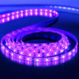 33Ft/10M 24W LED UV Black Light Strip Kit, 600 Units UV Lamp Beads, 12V Flexible Blacklight Fixtures, 395nm-405nm Non-Waterproof for Indoor DJ Fluorescence Party, Body Paint, Posters, Night Fishing